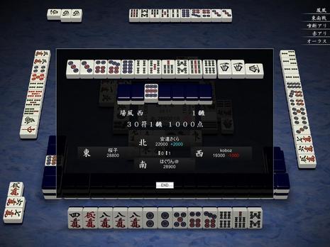 33171.jpg
